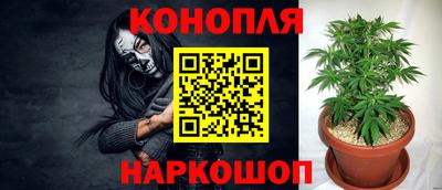 прущие грибы Нягань